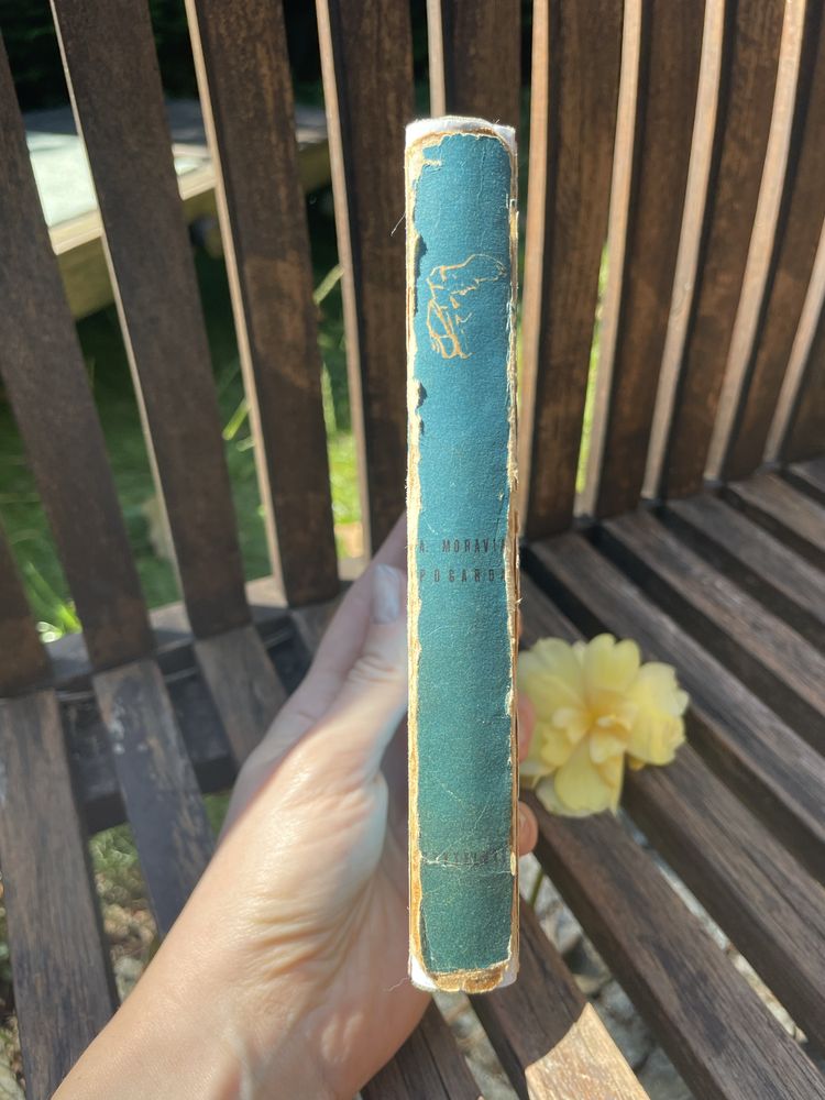 Pogarda - Alberto Moravia
