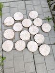15 krążków drewnianych plastry drewna 14–15 cm – suche, DIY, dekoracje