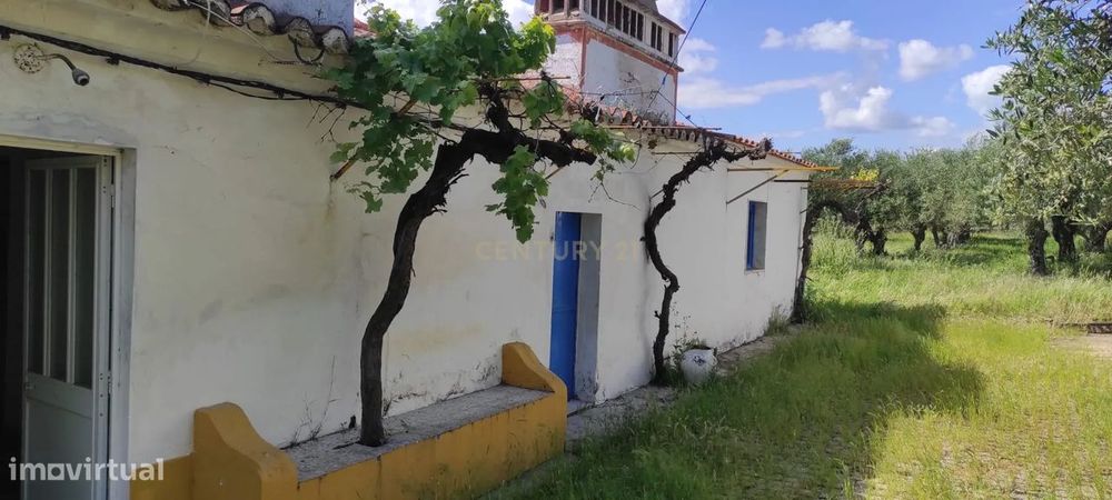 Quintinha em Elvas