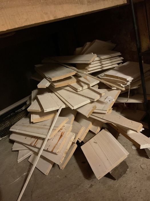 Świerk listwy - ścinki 40 i 70 cm