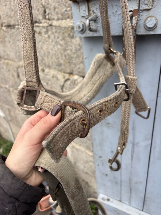 Kantar FULL do ciurania