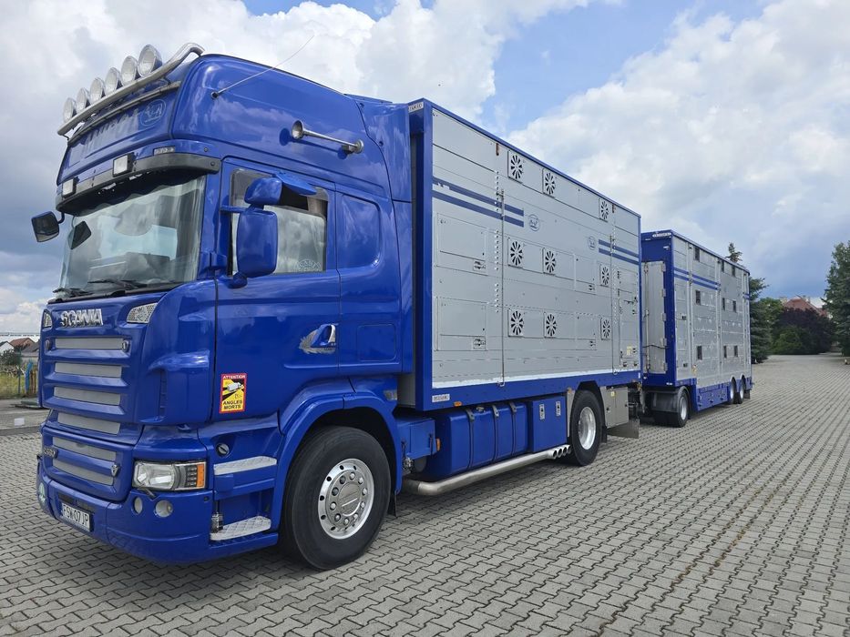 Scania R500 Pezzaioli  SCANIA R500 EURO5 + Pezzaioli RBA31 do zwierząt bydła świń Fa VAT