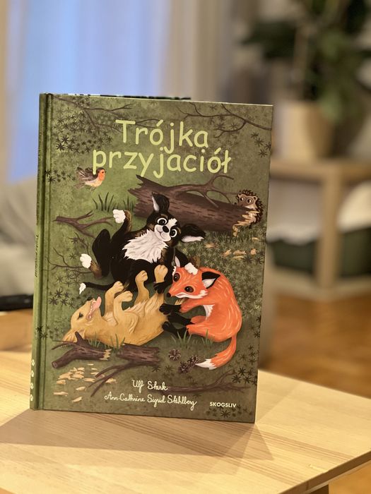 Trójka przyjaciół - ksiazka dla dzieci
