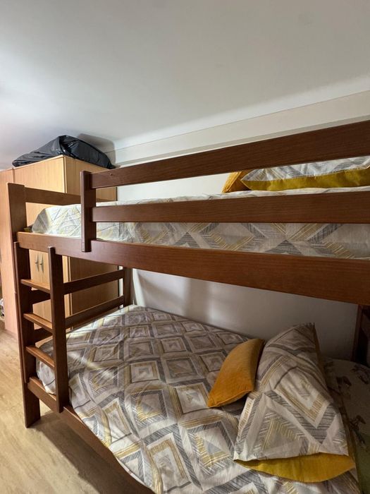 Beliche madeira maçica