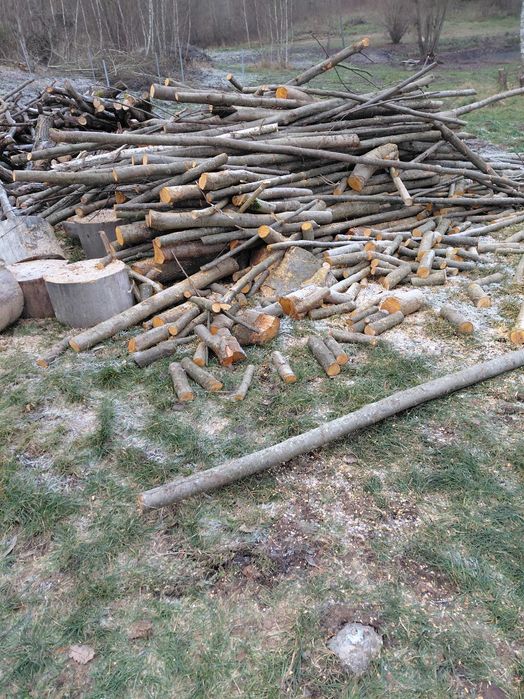 drewno opałowe kominkowe