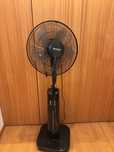 Ventoinha Becken