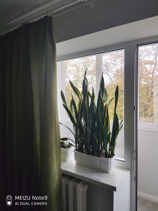 Центр,квартира з євроремонтом,подобово.