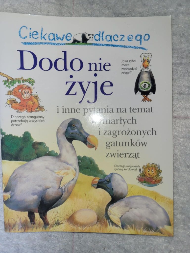 Dodo nie żyje Ciekawe dlaczego