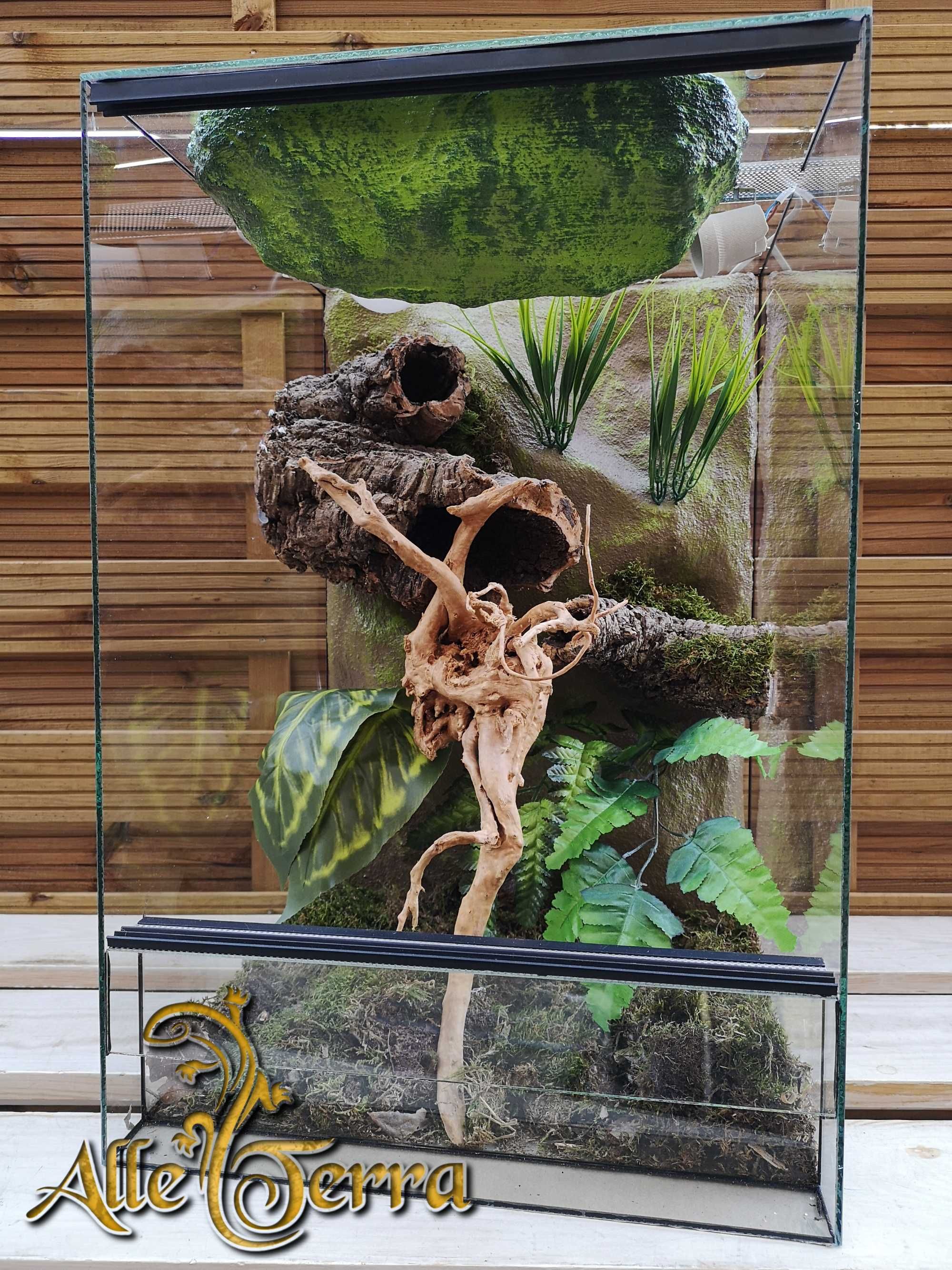 Terrarium szklane leśne AlleTerra