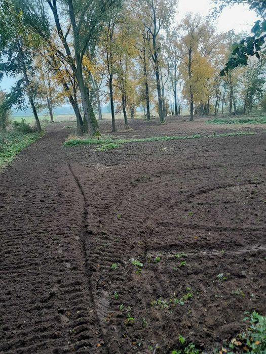 Działki budowlane z Warunkami Zabudowy woda na działkach, prąd w ulicy