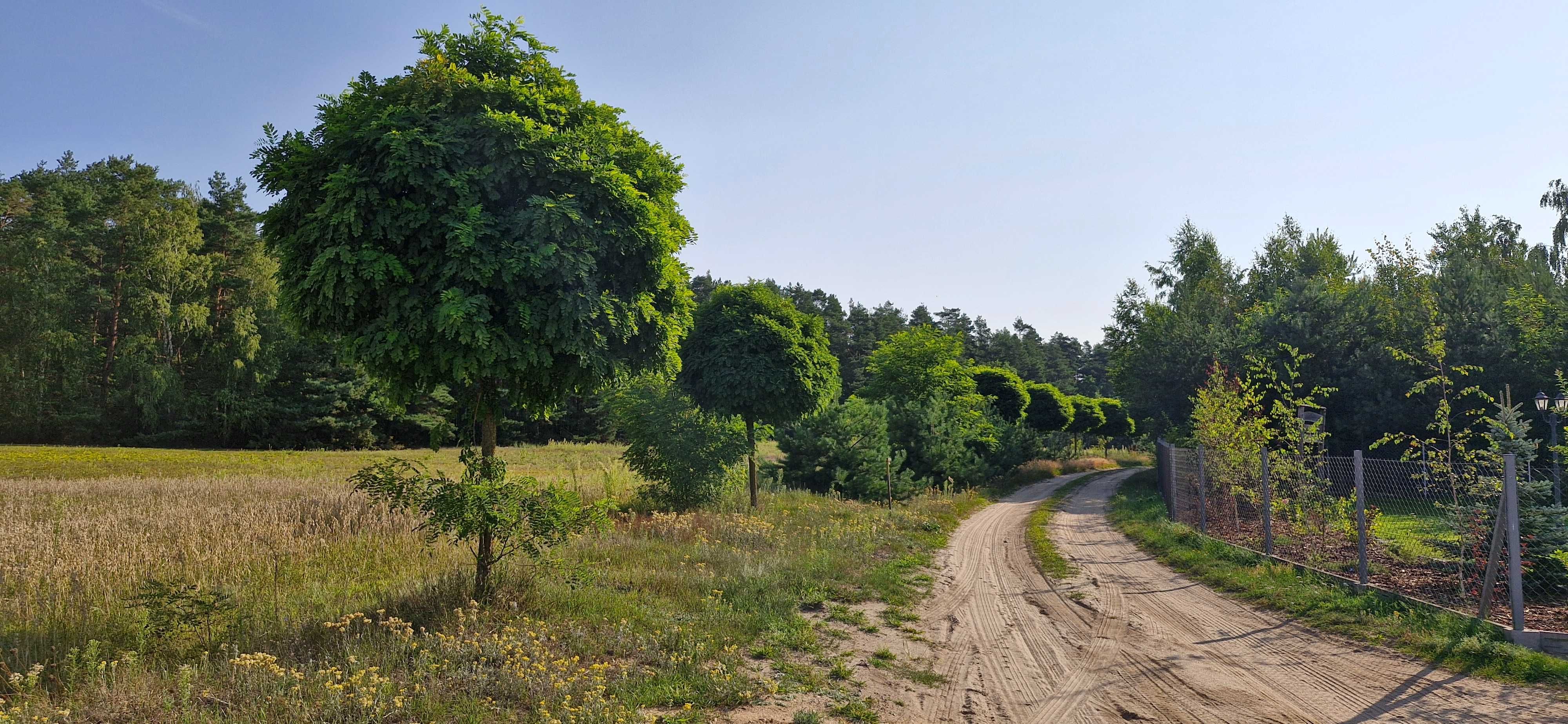 Działka 1460m2 - WZ, media, las, Huta Rypin
