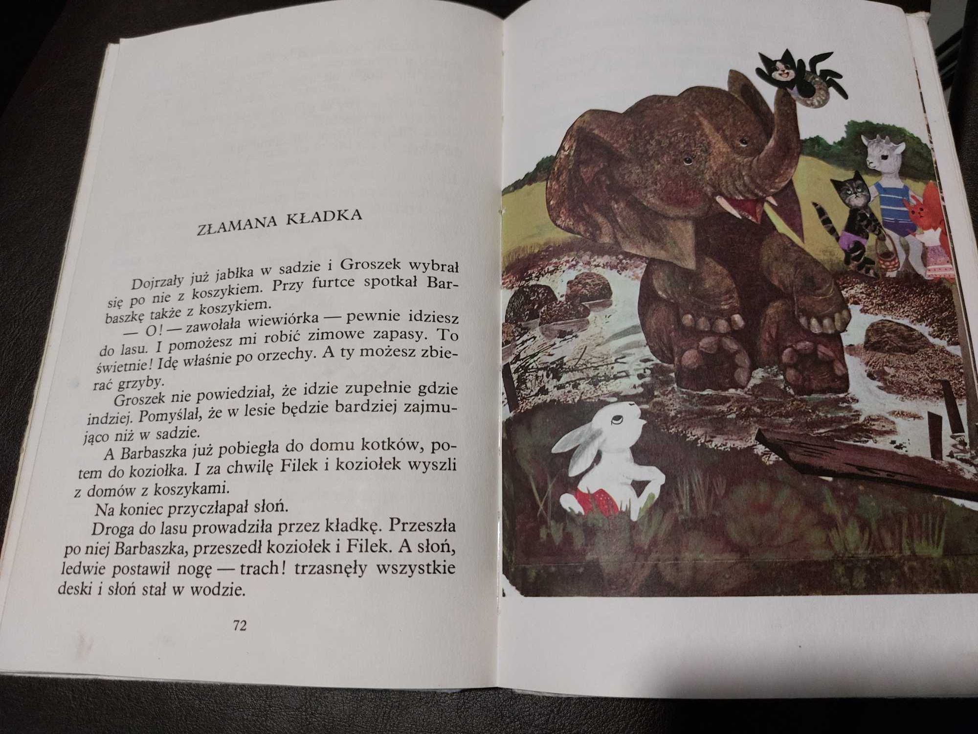 Wesołe lato Bechlerowa Helena 1986