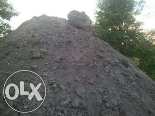 Ziemia ogrodowa pod trawnik i warzywa