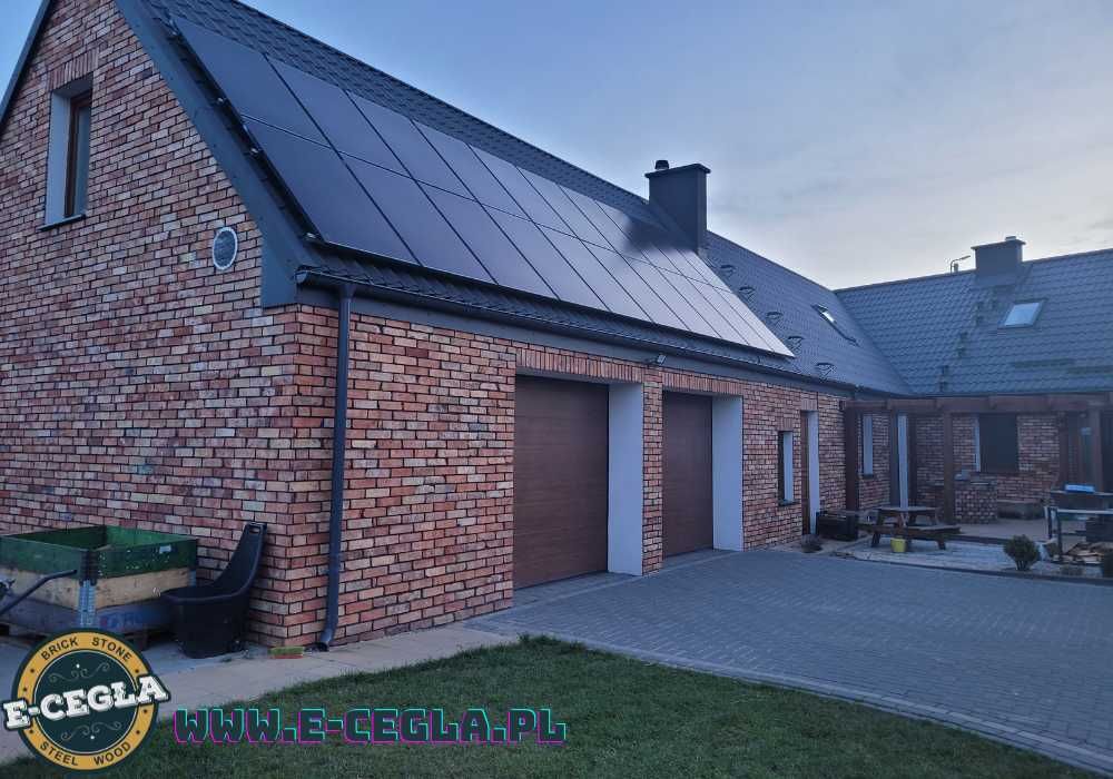 Cegła na ścianę | Płytki z naturalnej cegły rozbiórkowej | Loft
