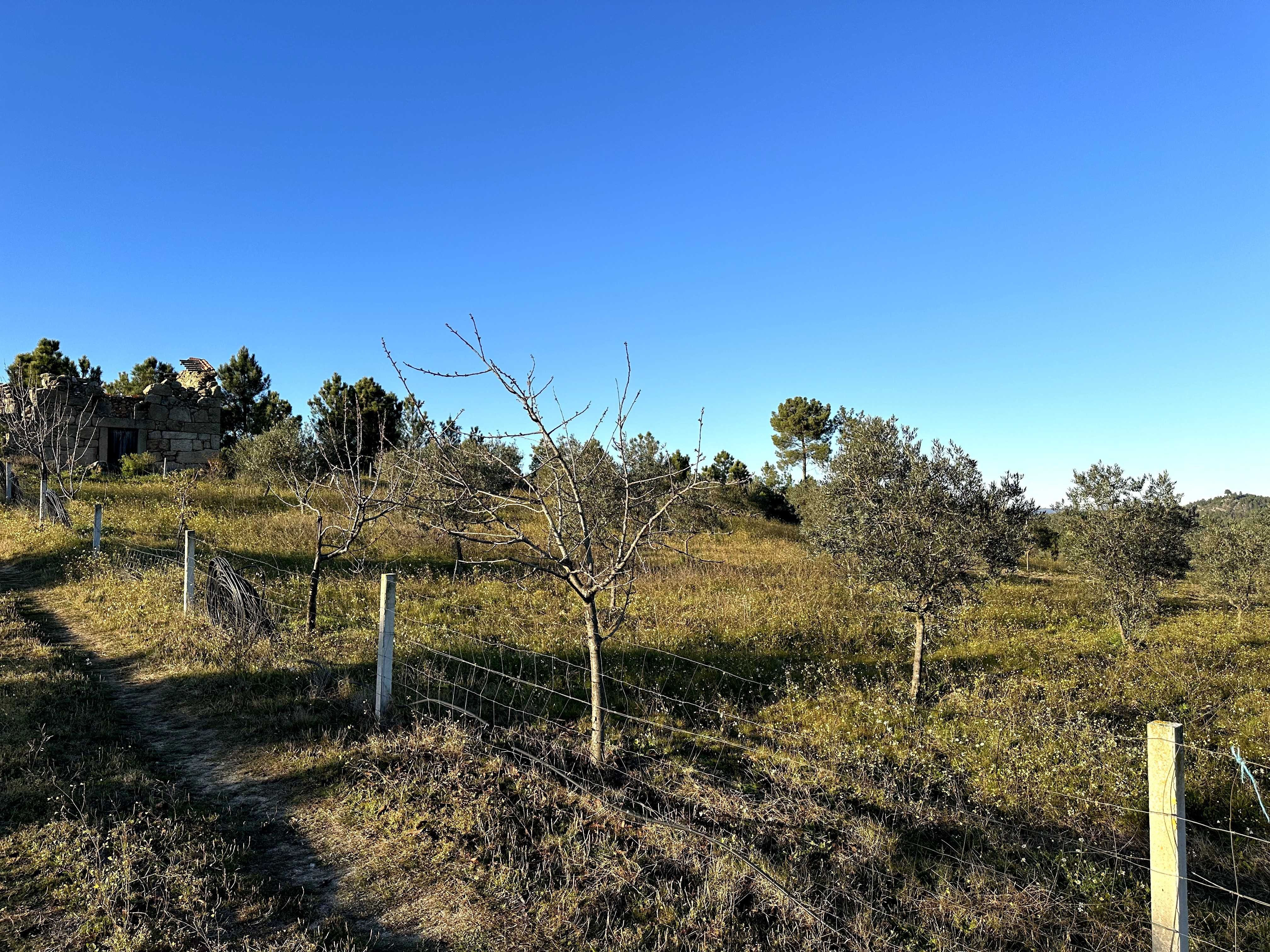 Refúgio de 9 Hectares com Vistas para a Serra da Estrela
