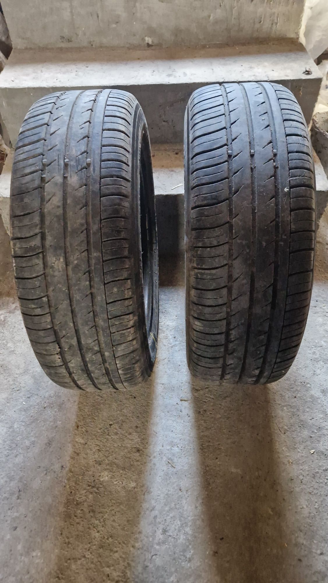 Белшина артмоушен  205/65r15