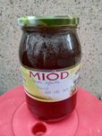 Miód Spadziowy iglasty