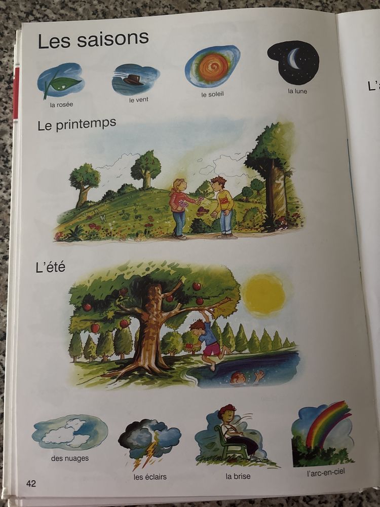 Dicionário-Francês e Inglês