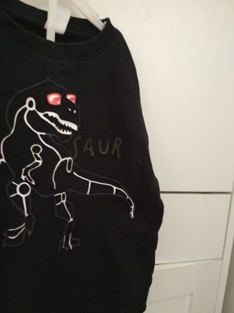 Bluza dinozaury Lindex bluzka