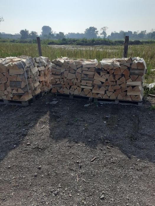 Drewo kominkowe i opałowe buk