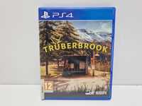 Gra Truberbrook PlayStation 4