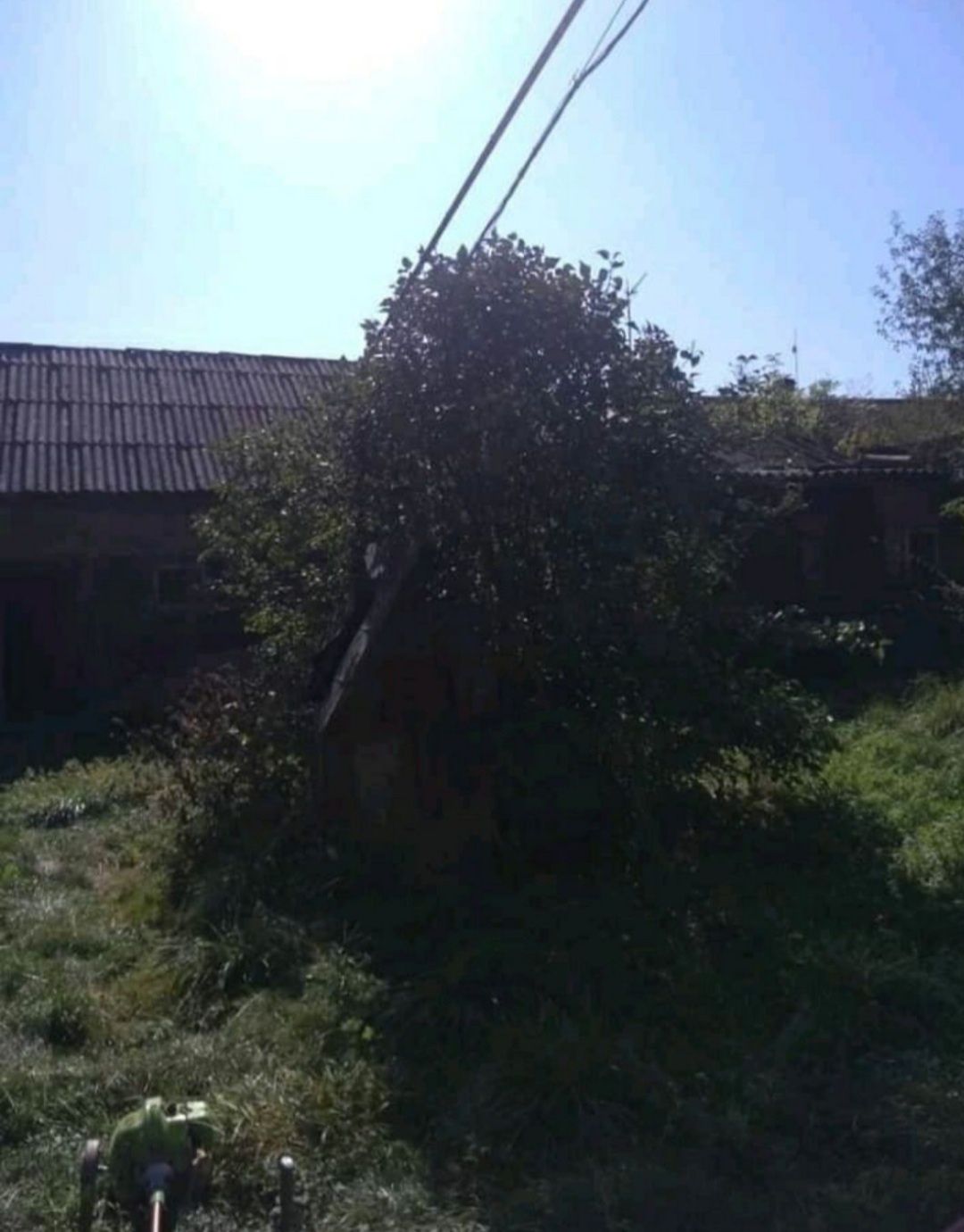 Житловий будинок
