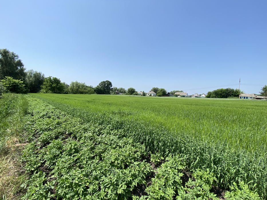 Продаж будинку с  Матюші
с. Матюші

Площа 60 м2
3 кімнати, кухня, місц