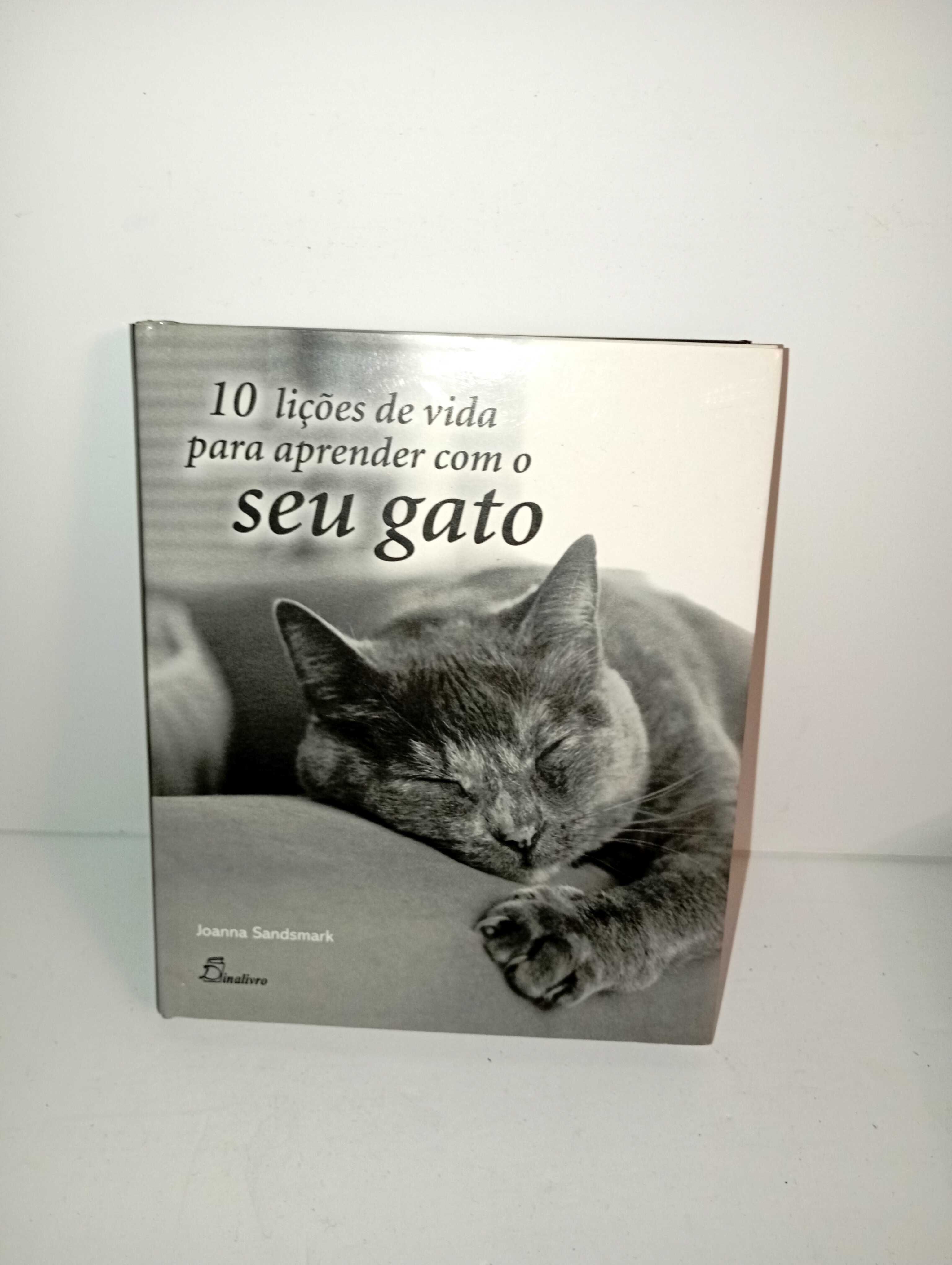 10 lições de vida para aprender com o seu gato