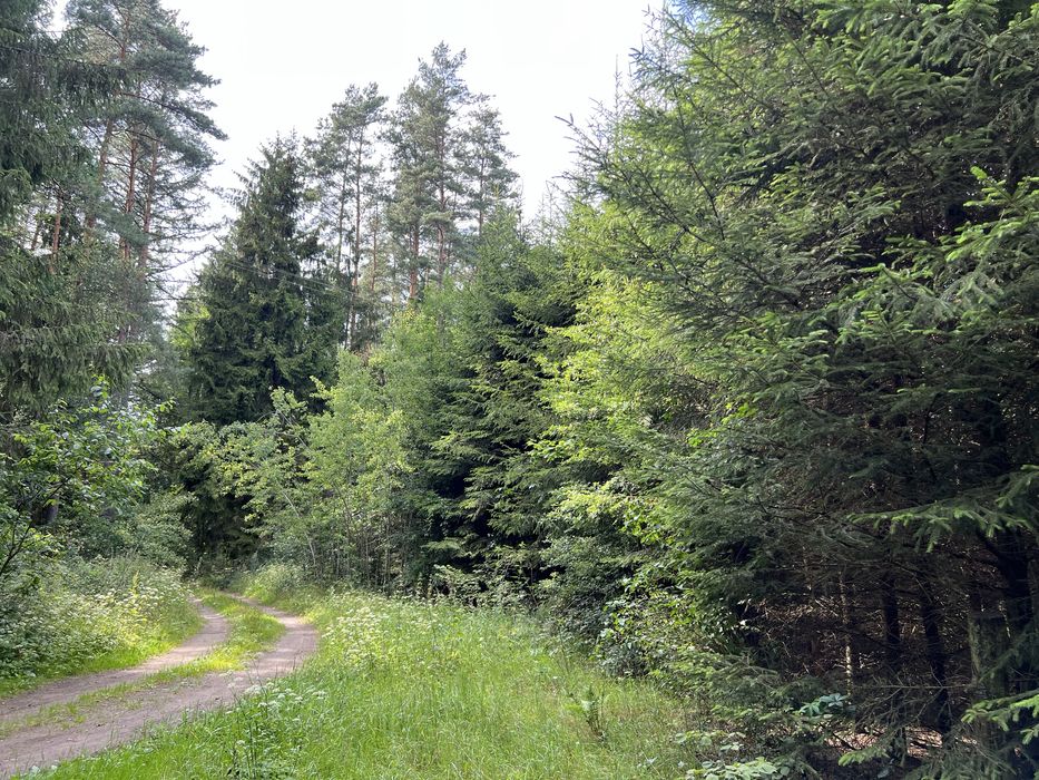 Działka rolno-siedliskowa na Warmii
