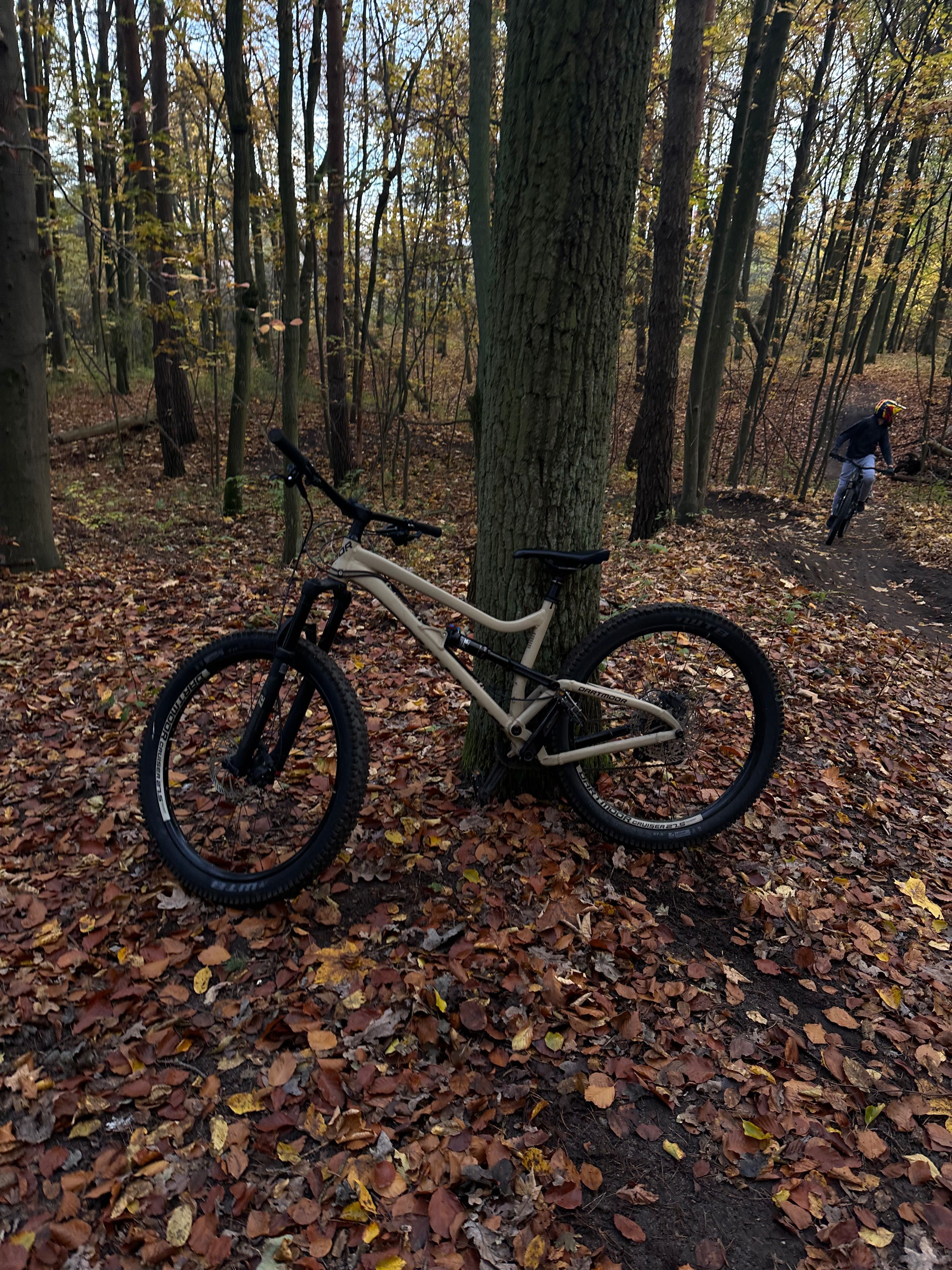 Dartmoor Bluebird Pro 27.5 M