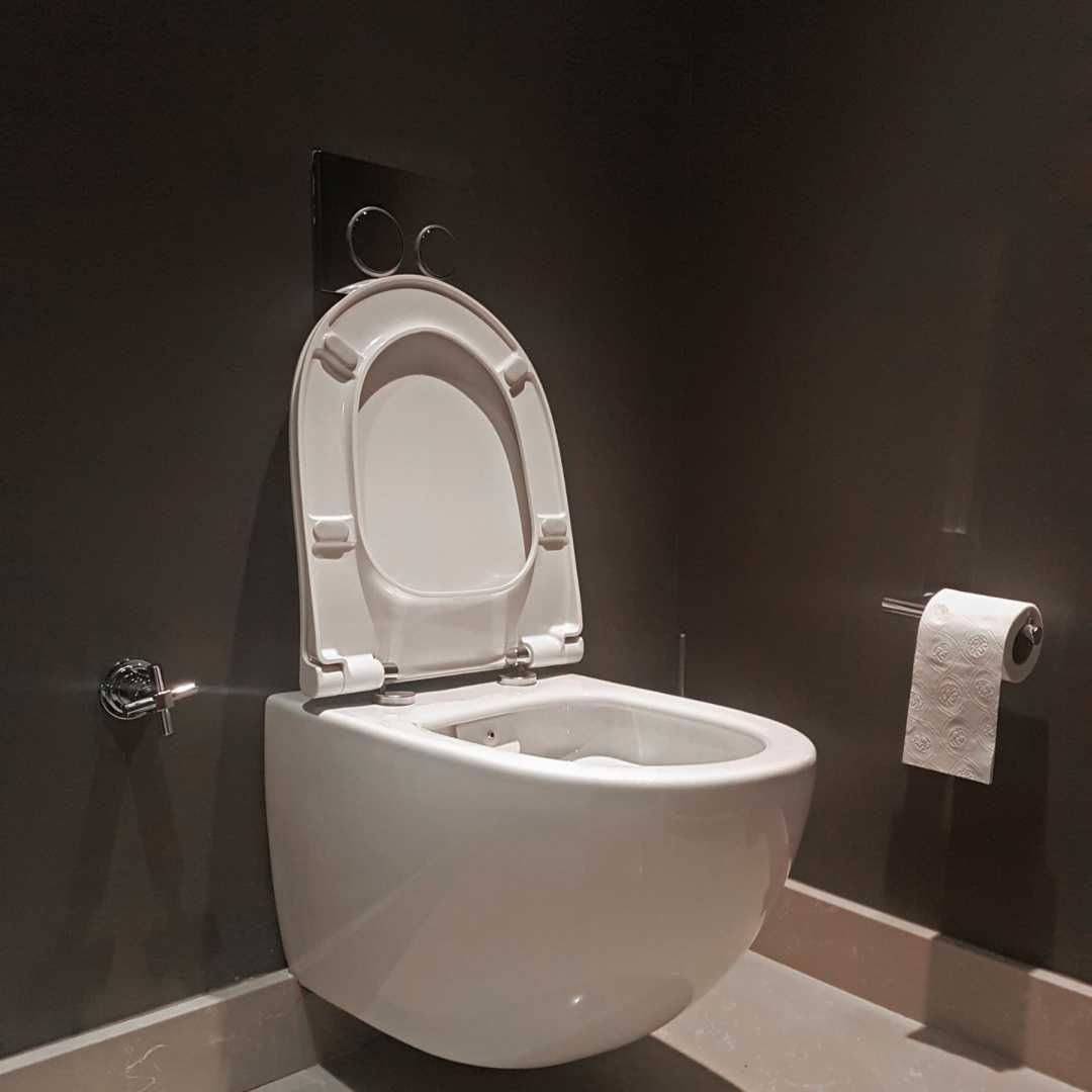 Deska Sedesowa Wolnoopadająca 0041-2 WC Twarda Wypinana POWYSTAWOWA