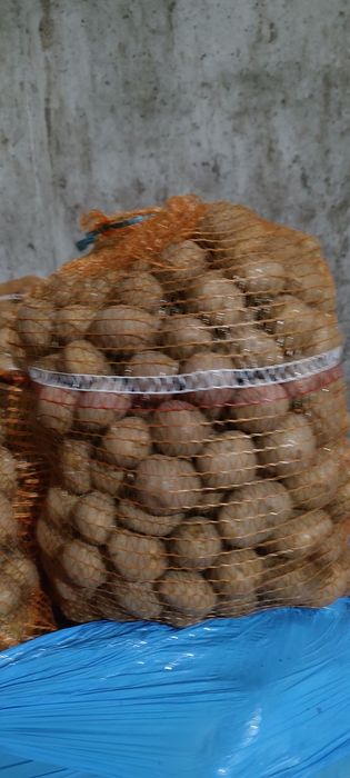 Sprzedam Soraya Queen Anna kaliber 38-45