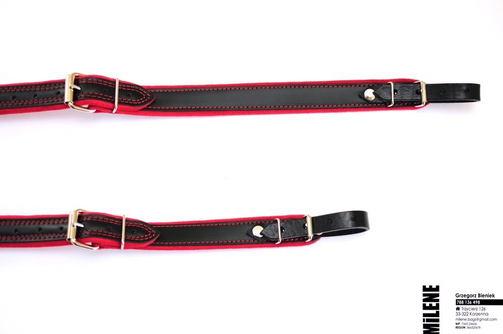 Pasy akordeon 96/120 basów, skóra nat. Model Folk