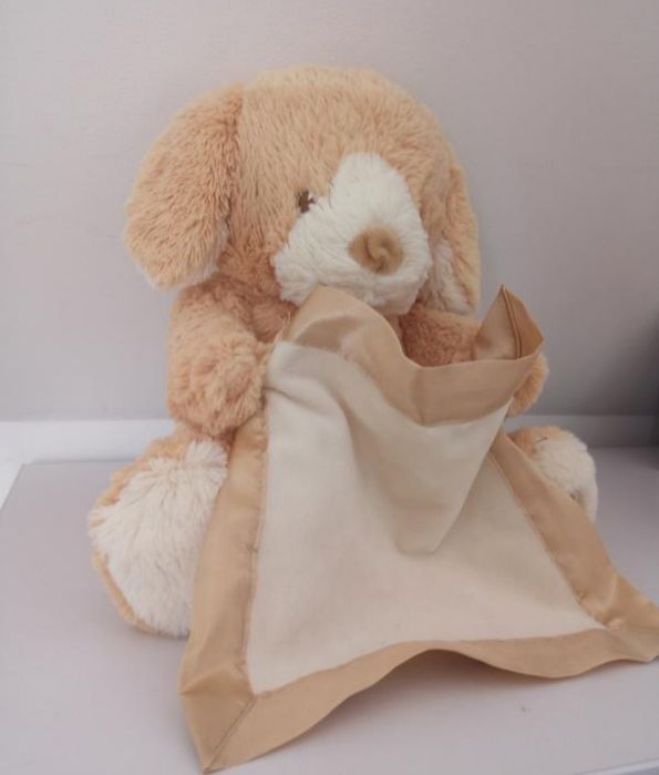 Spin master peek a boo puppy собачка грає в хованки ку ку пес песик