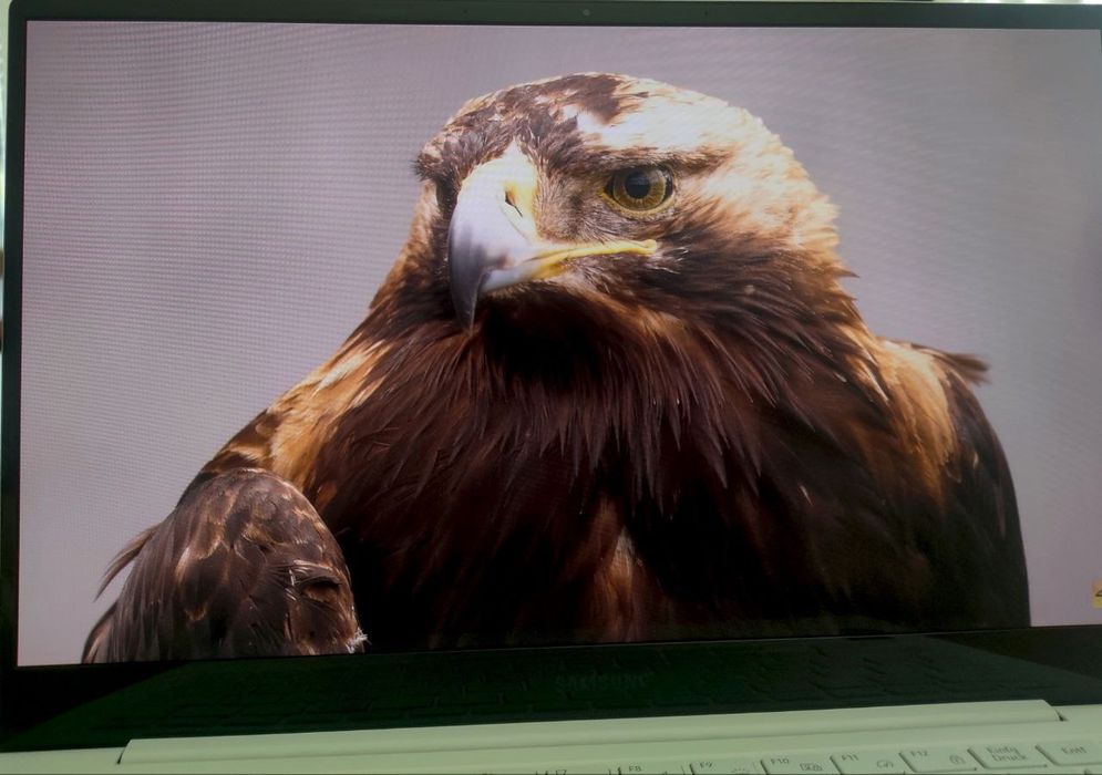 Ноутбук Samsung Galaxy Book Pro NP930XDB-KH1