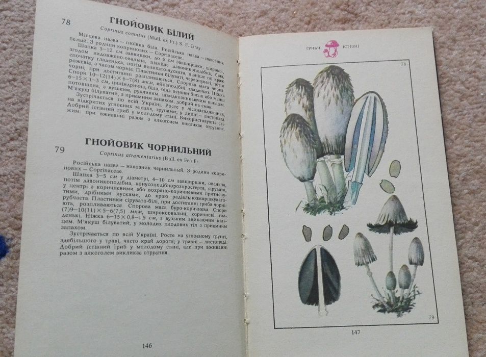 Книга "ГРИБИ". Київ Урожай 1979р.