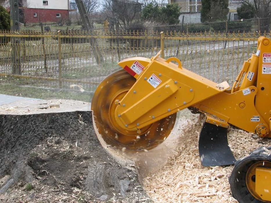 Wycinka drzew, czyszczenie działek, mulczowanie Nieporęt i okolice