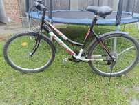 Rower  unibike 24 całe
