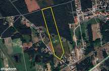 Nieruchomość rolno-leśna 7,6ha – pomorskie, Czarna Woda