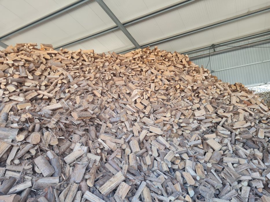 Lenha seca qualidade