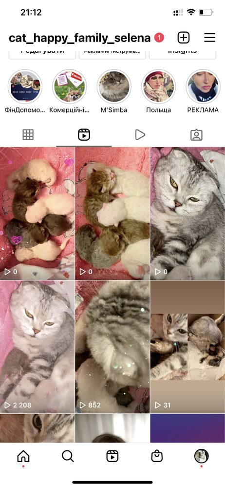 Коти SFS71, и фолд на продаж