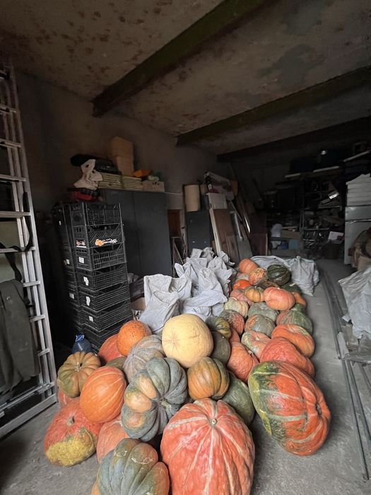 Продаж будинка в Смиківцях