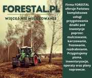 Wycinka / Czyszczenie działek / Mulczer / Wgłębny / Rekultywacja
