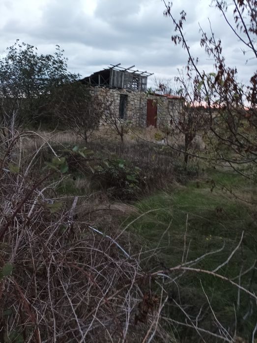 Дачный участок со строением