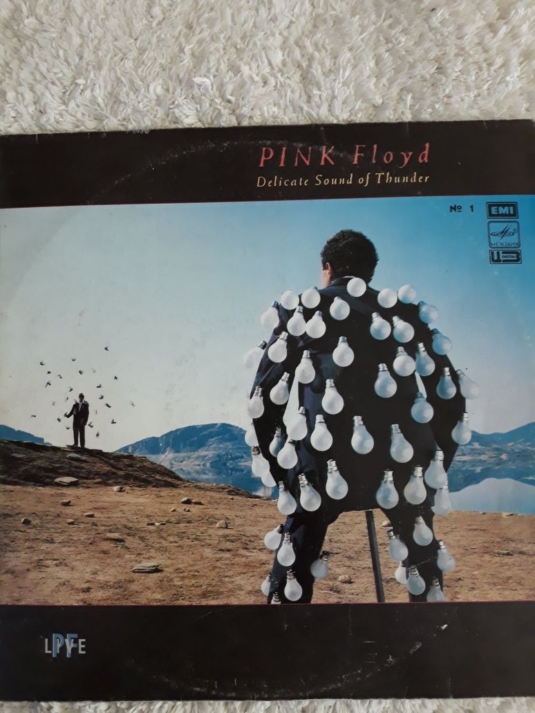 Pink Floyd- Delicate Sound of Thunder. LIVE, 2 LP.