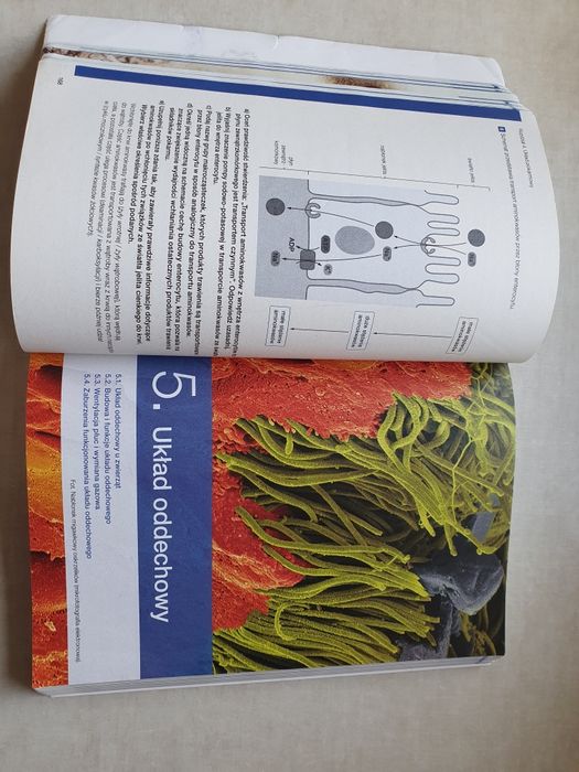 Biologia na czasie 3