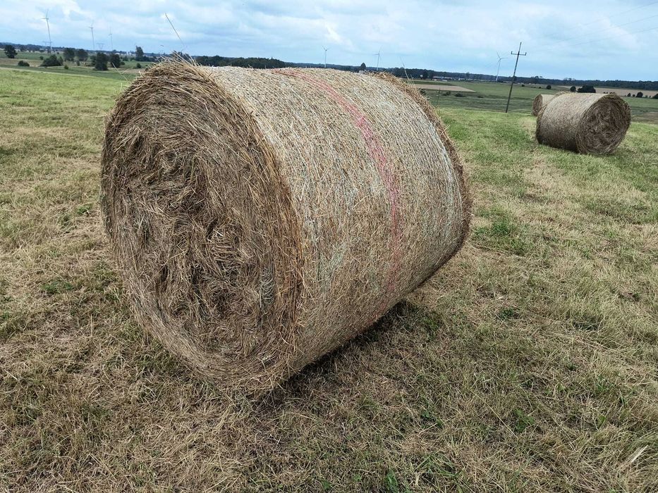 Świeże siano bez deszczu