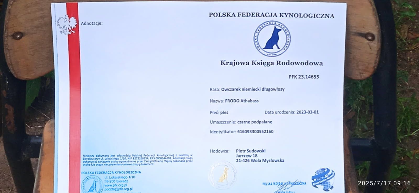 Owczarek niemiecki długowłosy
