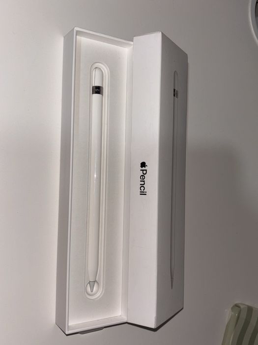 Apple Pencil (1 geração)