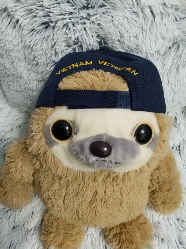 Кепка Vietnam veteran air force
